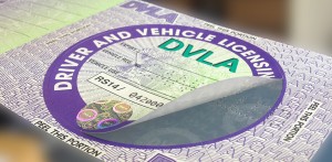 Vehicle License